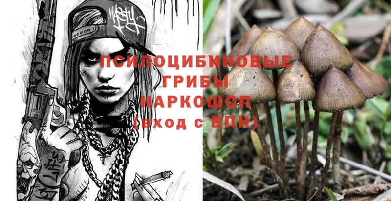 Галлюциногенные грибы Magic Shrooms  ОМГ ОМГ рабочий сайт  Байкальск 